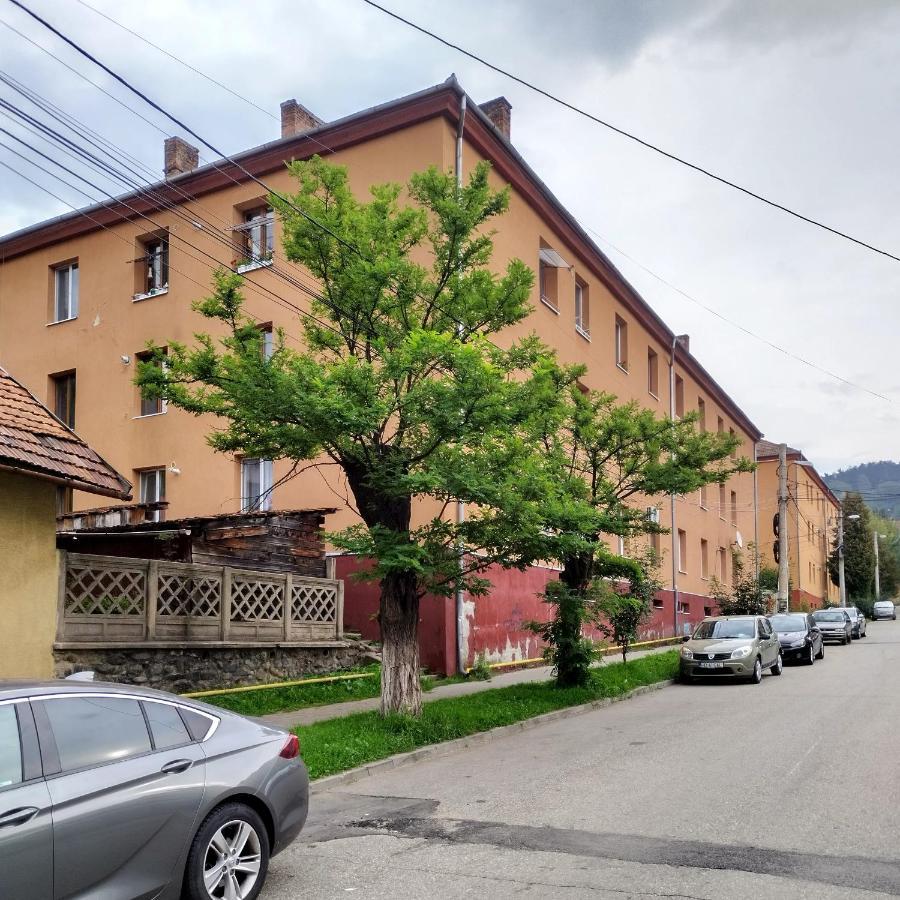 Apartament Camelia Petroşani 외부 사진