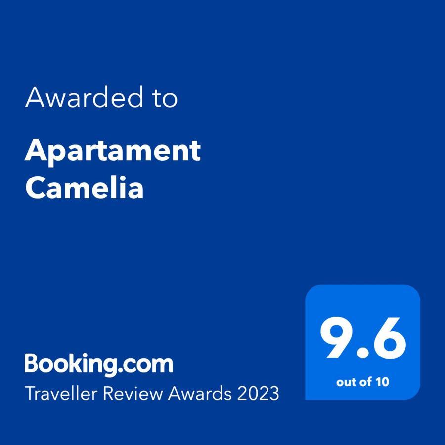 Apartament Camelia Petroşani 외부 사진